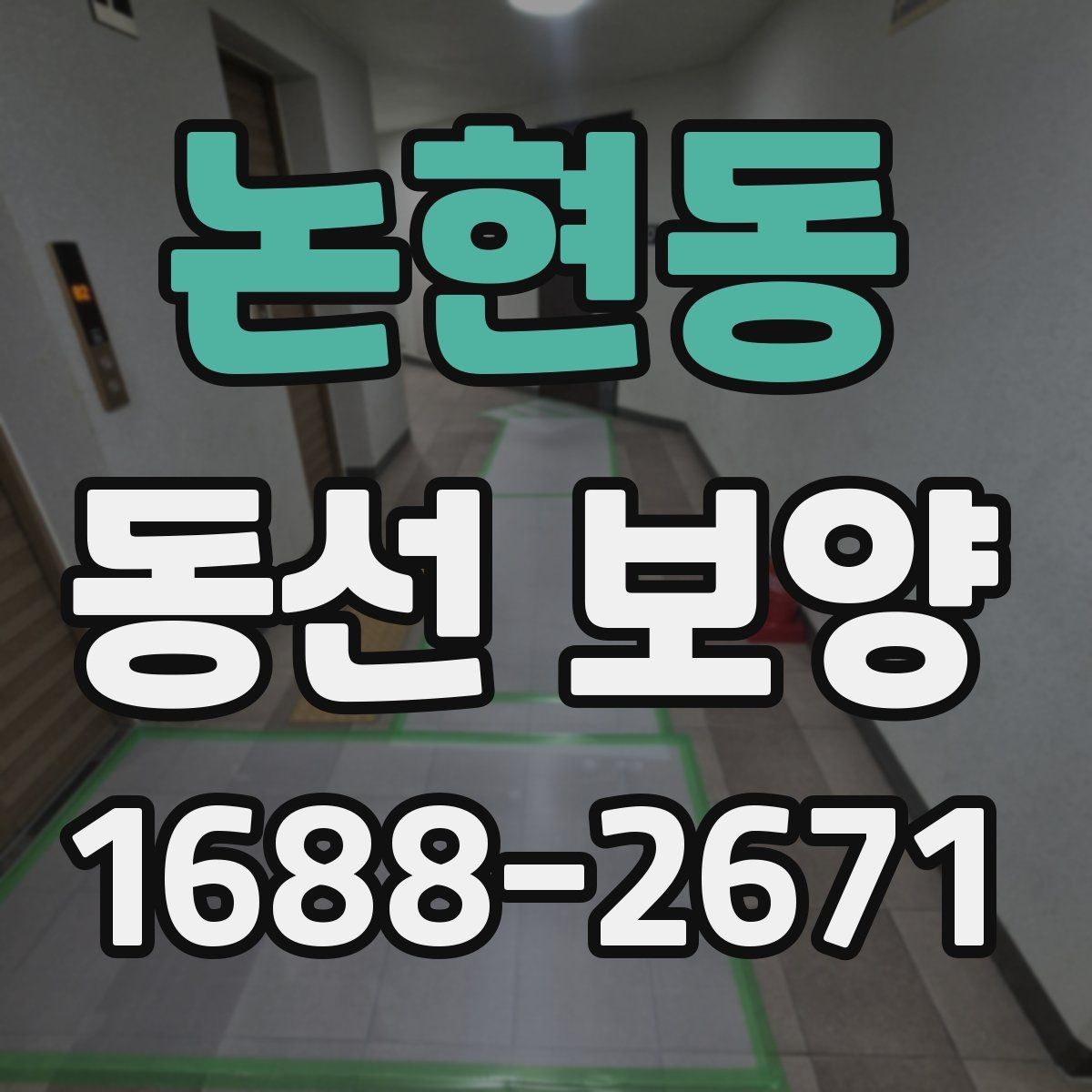 논현동 동선 보양 자재별 특징과 활용 방법