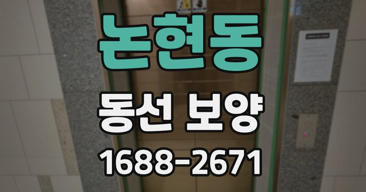 논현동 동선 보양