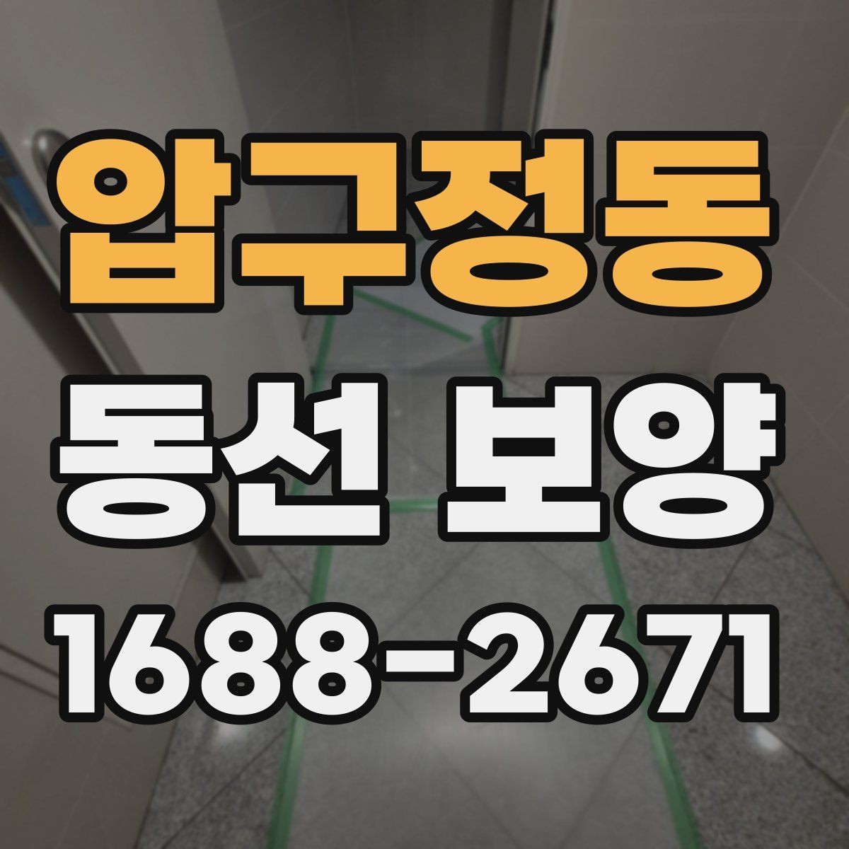 압구정동 동선 보양 시공 전 꼭 확인할 점