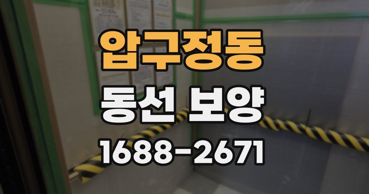 압구정동 동선 보양