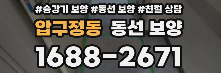 압구정동 동선 보양