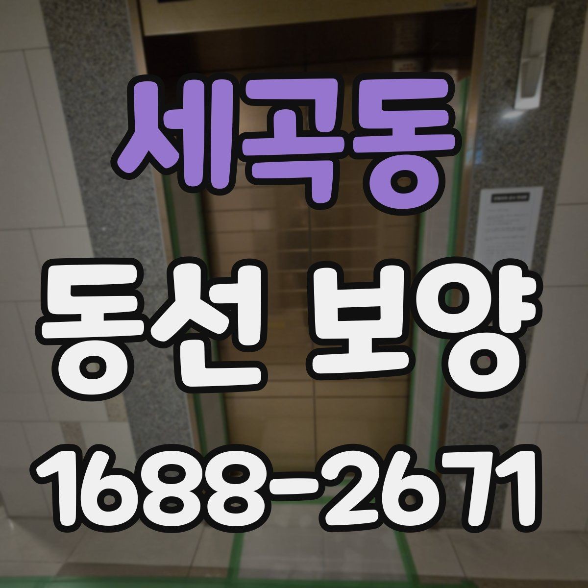 세곡동 동선 보양 진행 시 작업자 간 협업이 중요한 이유