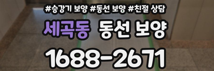 세곡동 동선 보양