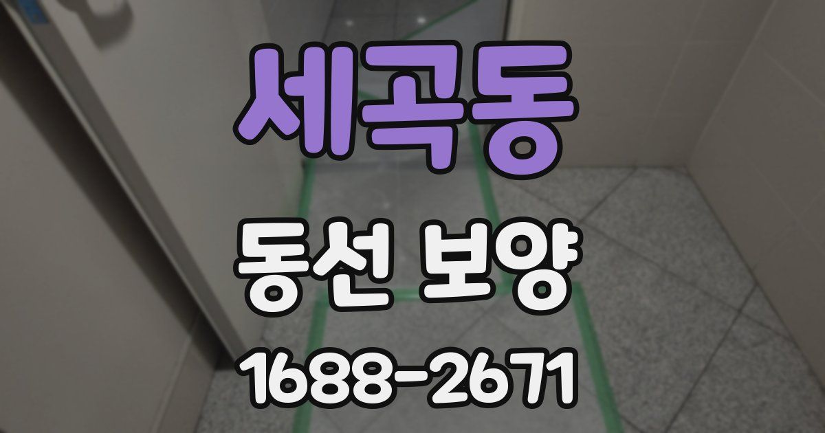 세곡동 동선 보양