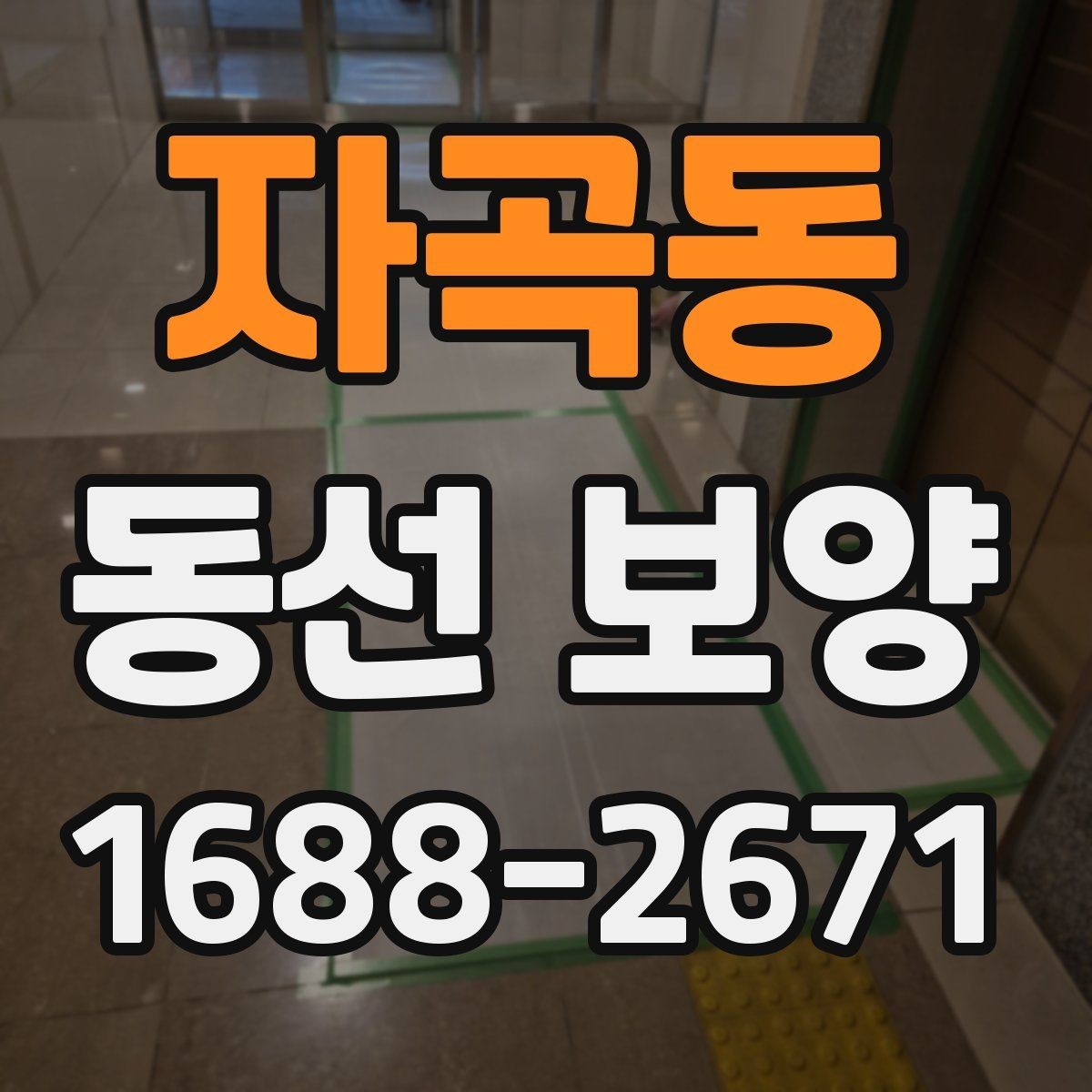 자곡동 동선 보양 작업 전후로 비교해 보는 변화