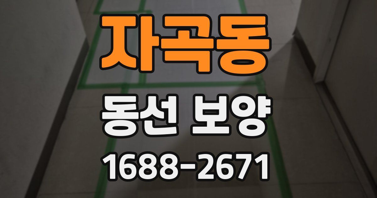 자곡동 동선 보양
