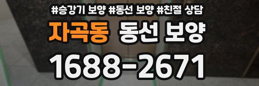 자곡동 동선 보양