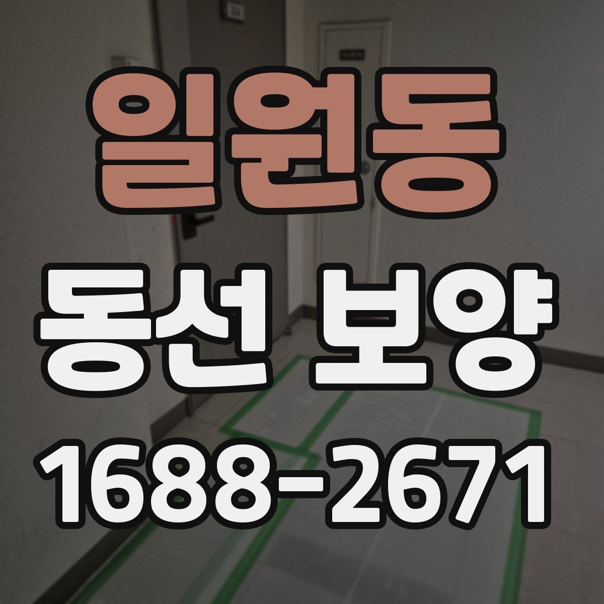 일원동 동선 보양 견적 비교할 때 살펴볼 포인트