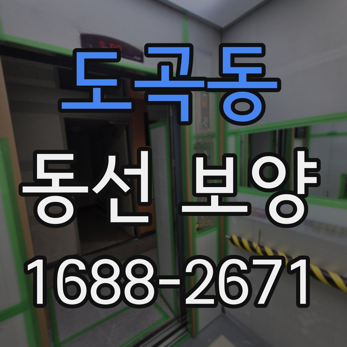 도곡동 동선 보양 적용 범위를 정하는 기준
