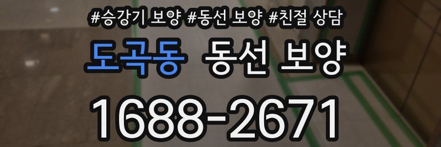 도곡동 동선 보양