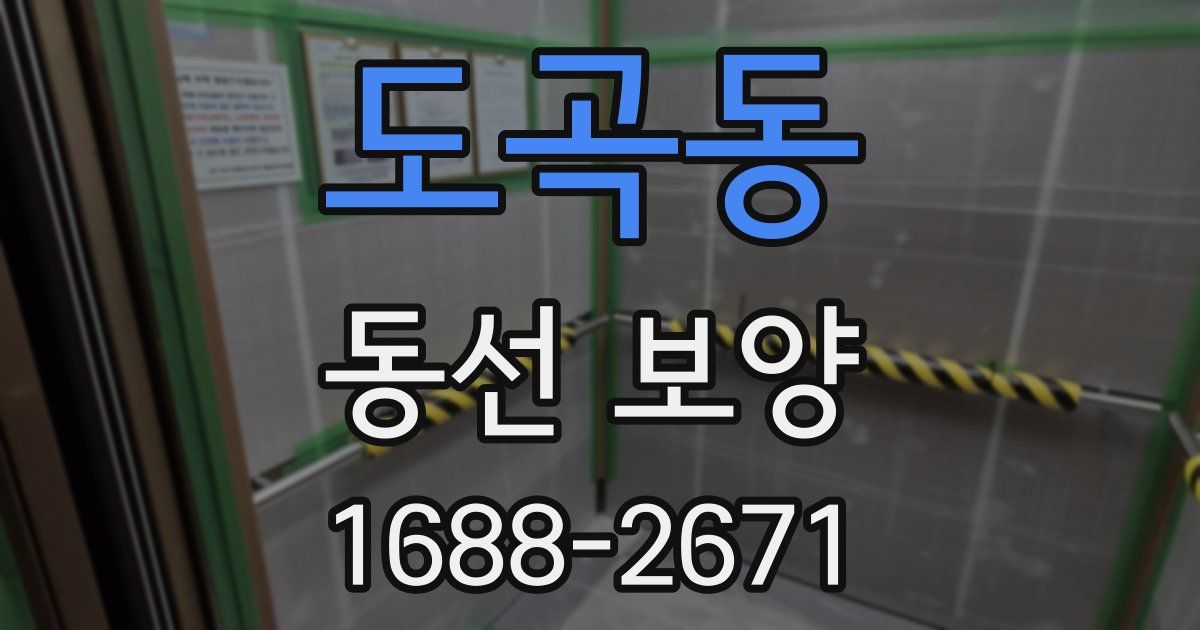 도곡동 동선 보양