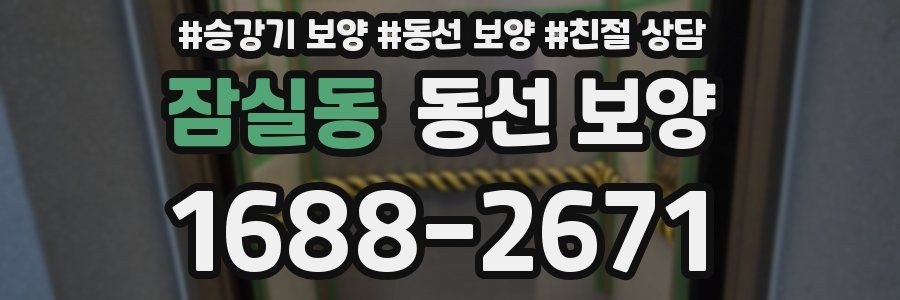 잠실동 동선 보양