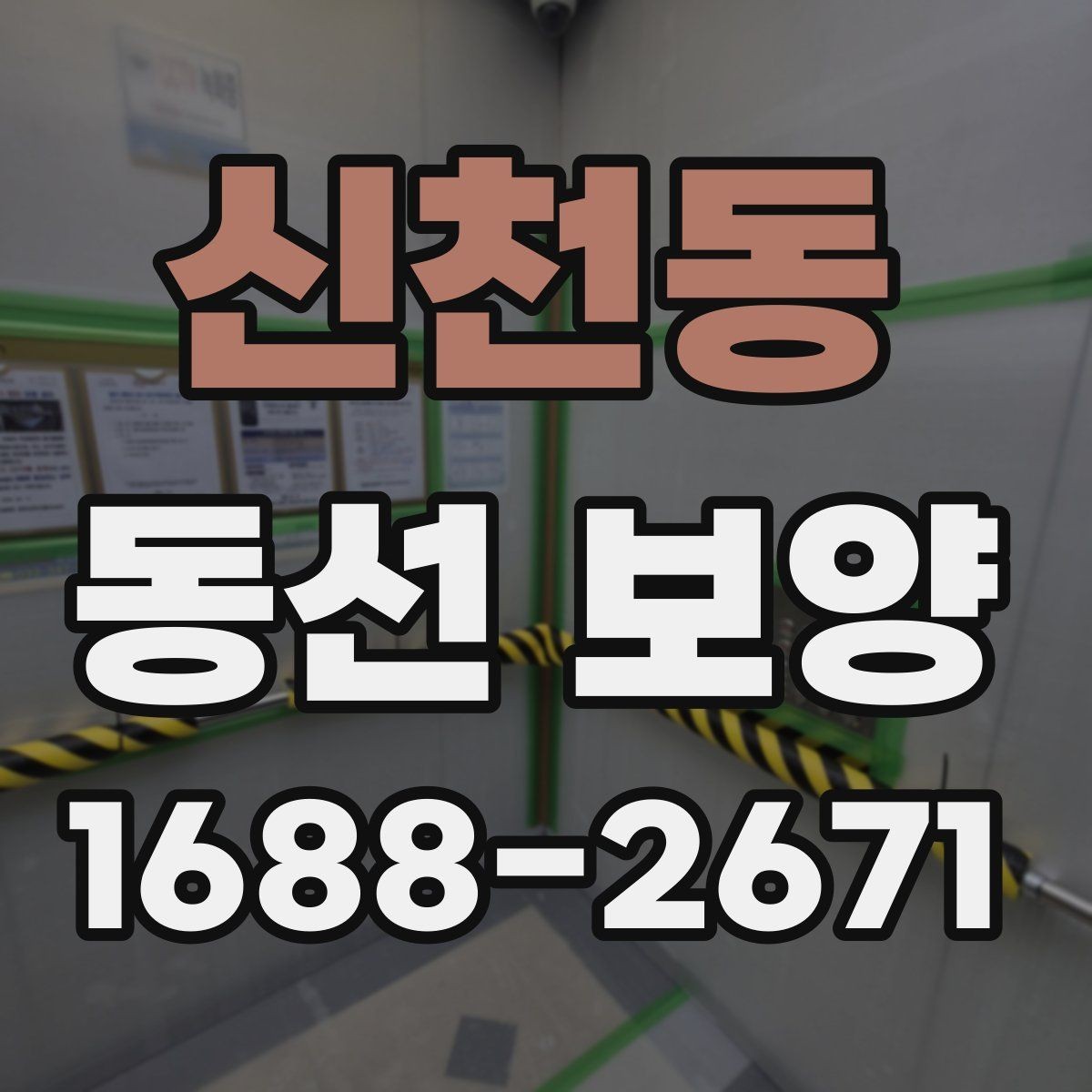 신천동 동선 보양 비용 산정에 영향을 주는 요소