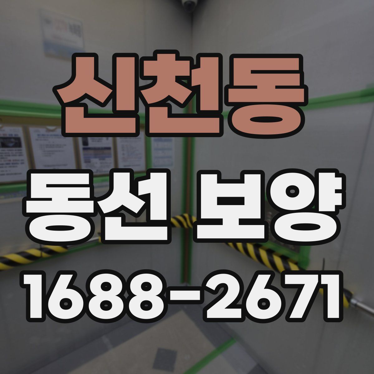 신천동 동선 보양