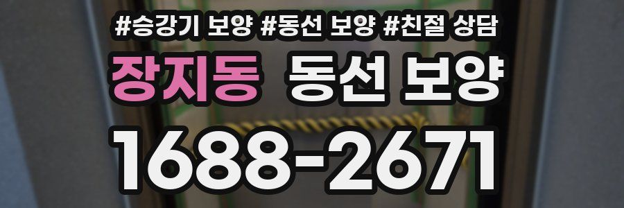 장지동 동선 보양