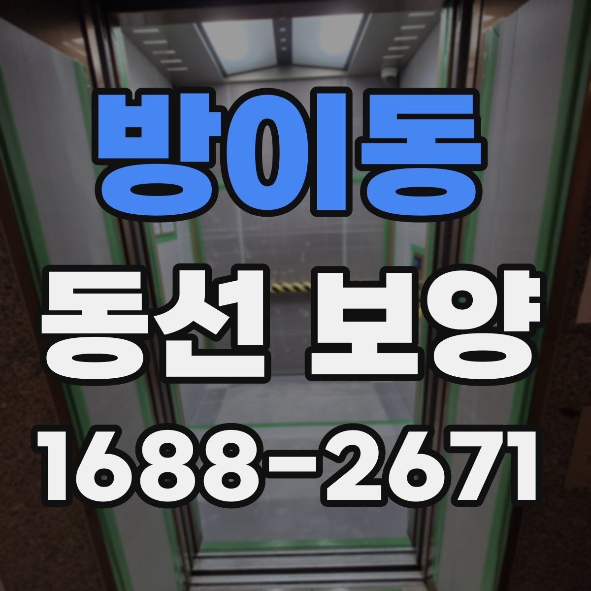 방이동 동선 보양 업체를 고를 때 살펴볼 기준