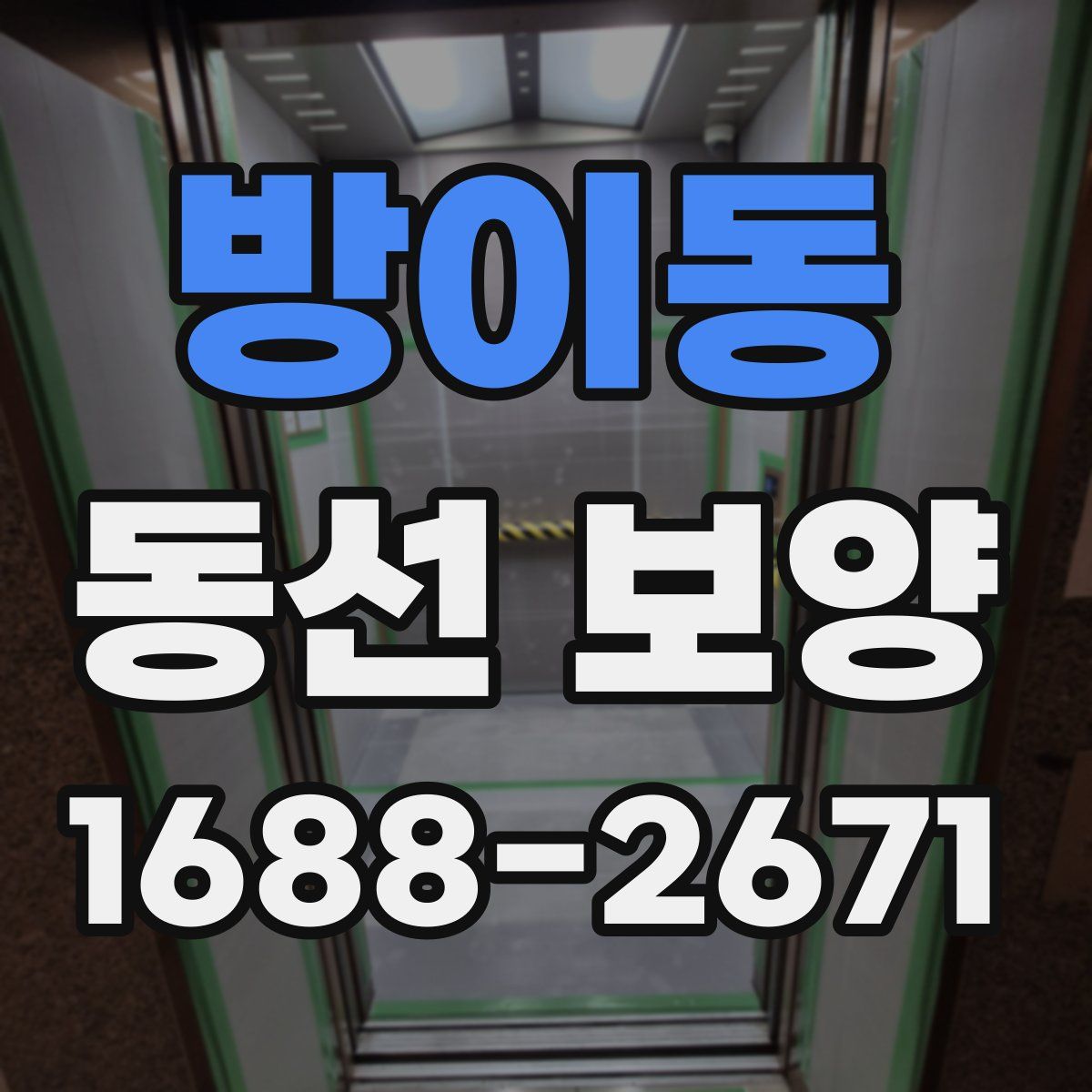 방이동 동선 보양