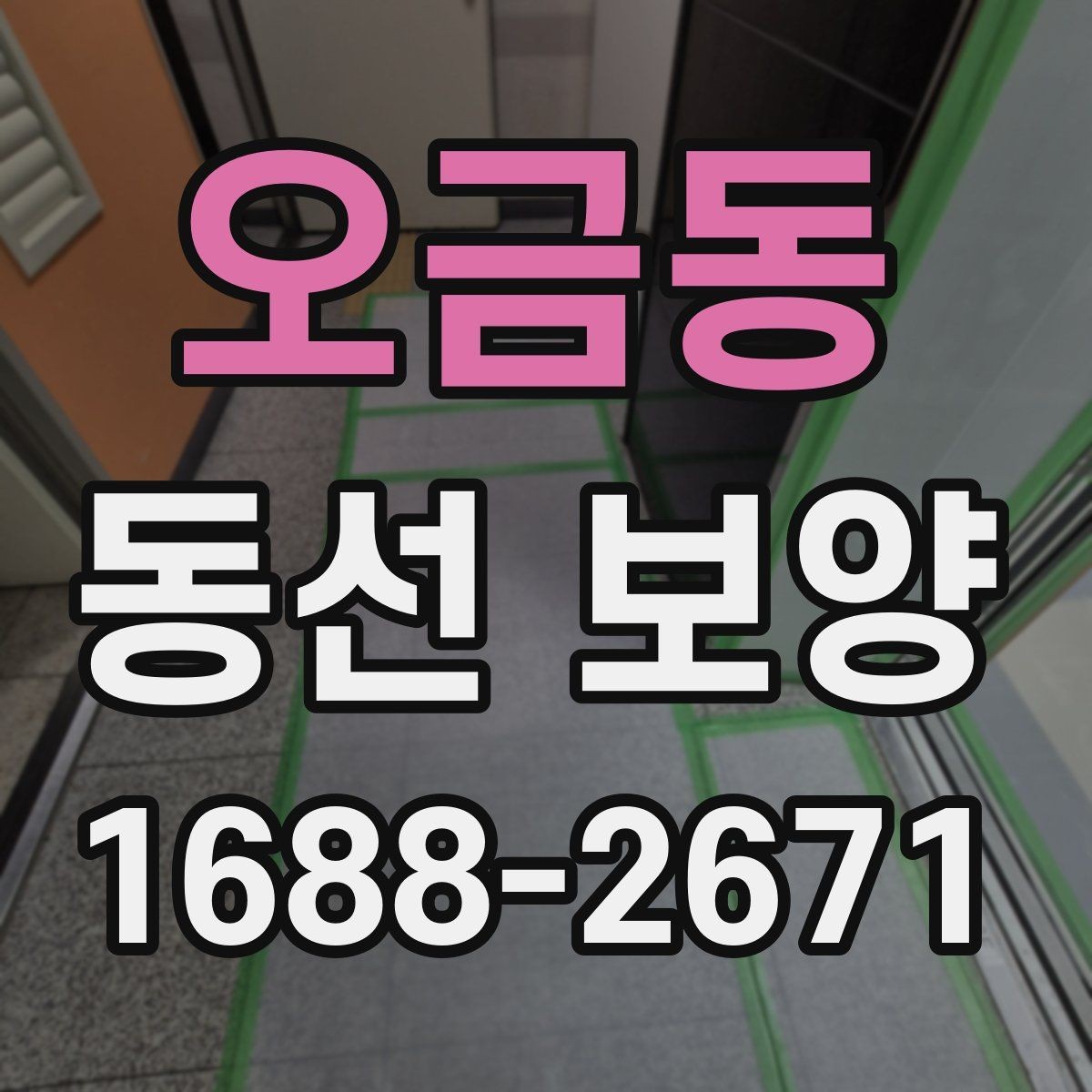 오금동 동선 보양 업체를 고를 때 살펴볼 기준