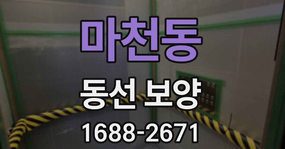 마천동 동선 보양