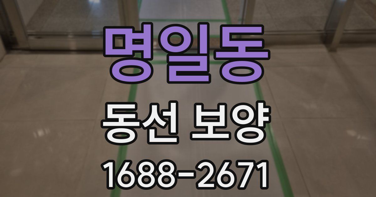 명일동 동선 보양