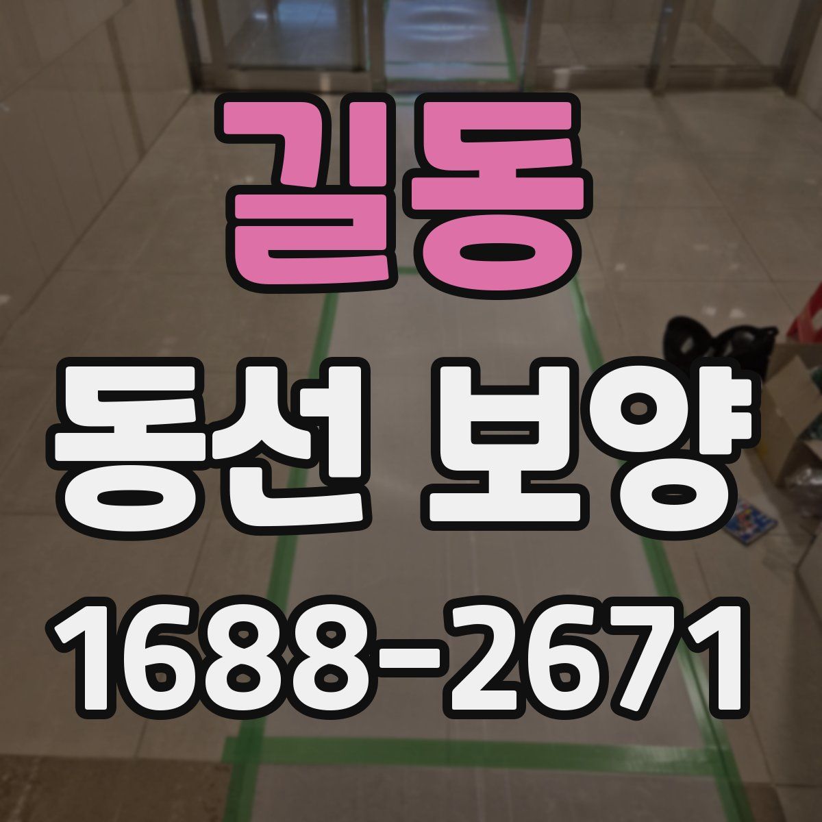 길동 동선 보양