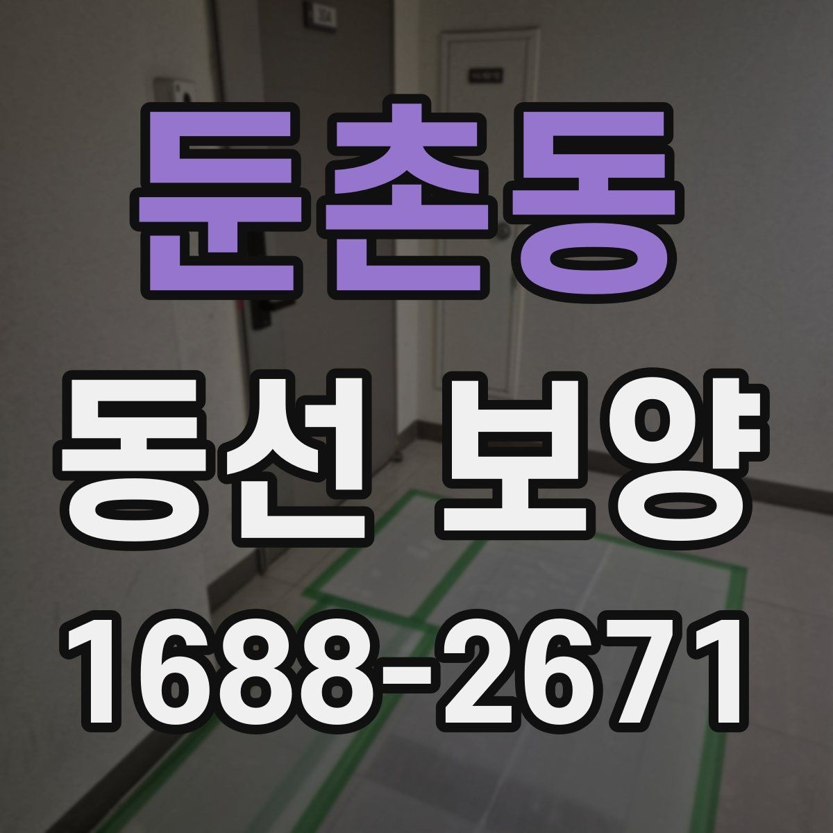 둔촌동 동선 보양 견적 비교할 때 살펴볼 포인트