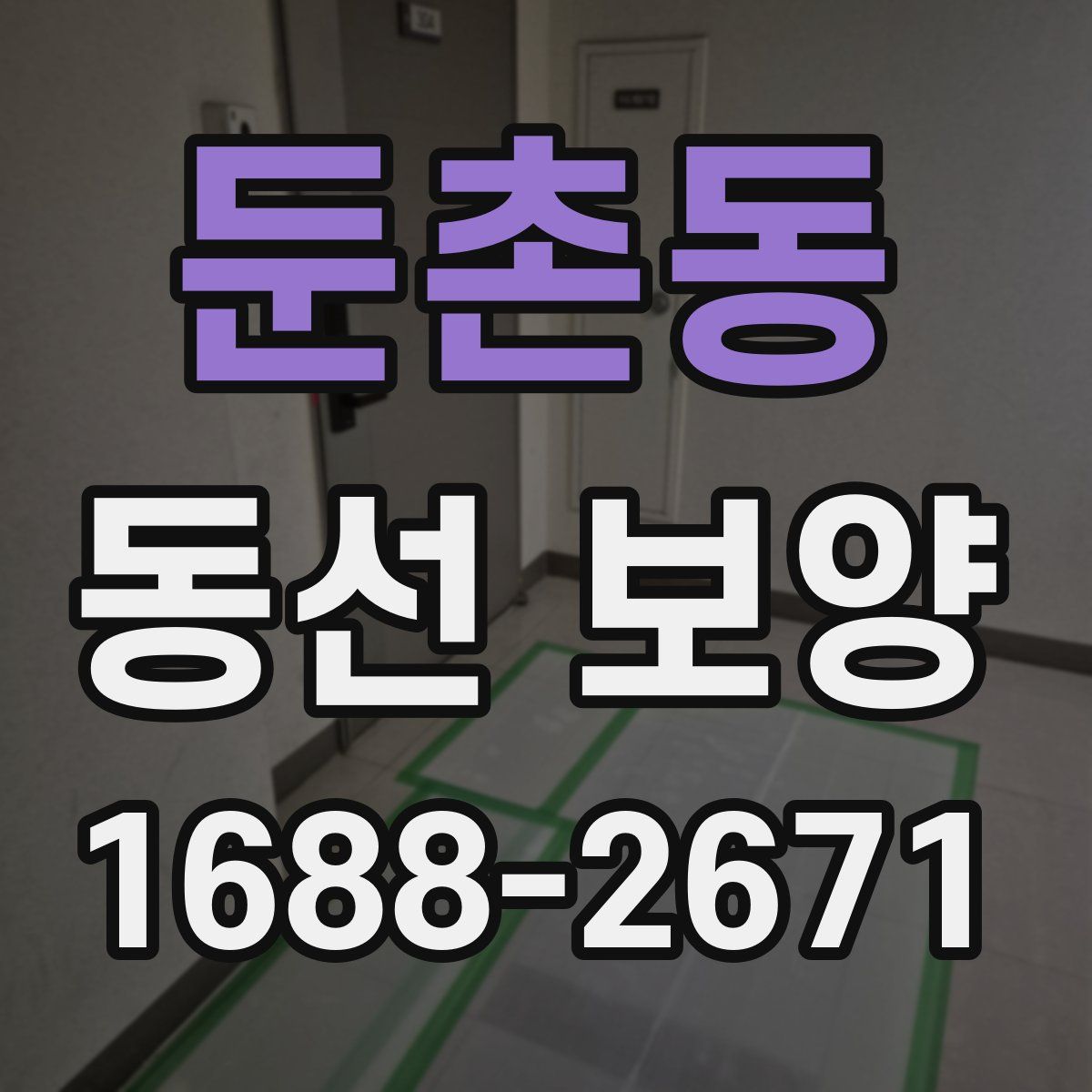 둔촌동 동선 보양