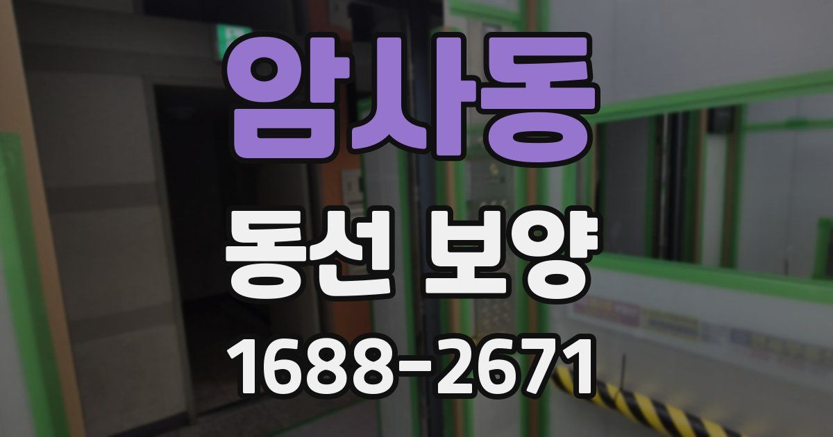 암사동 동선 보양