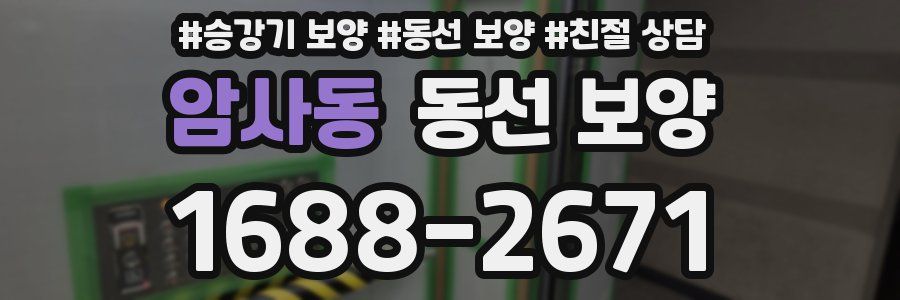 암사동 동선 보양