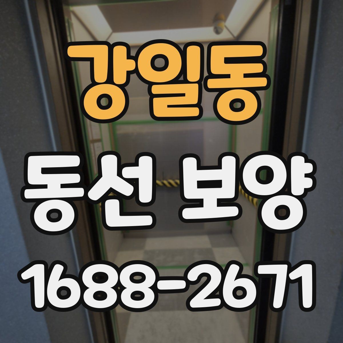 강일동 동선 보양 과정에서 자주 생기는 실수