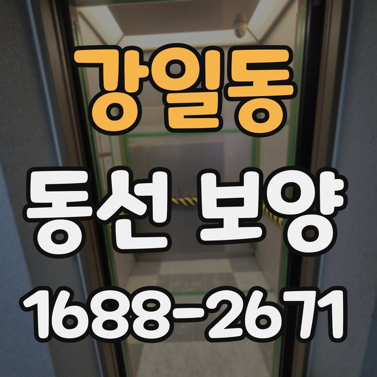 강일동 동선 보양