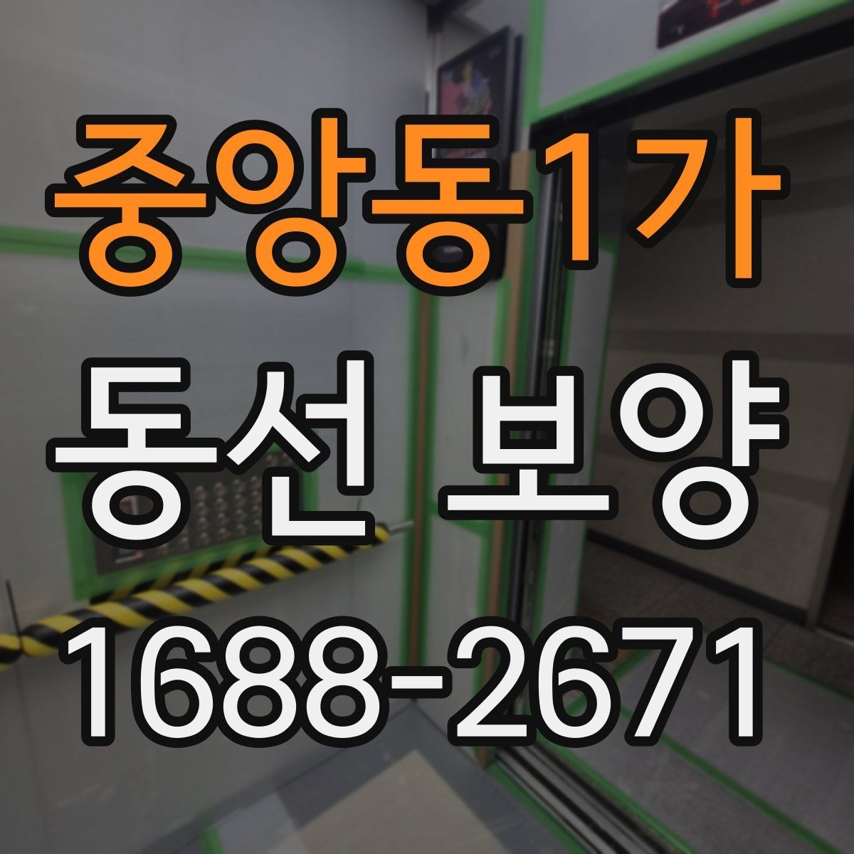 중앙동1가 동선 보양 공정에서 자주 묻는 질문 정리