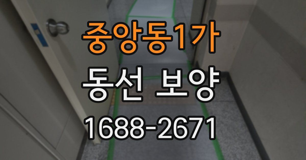중앙동1가 동선 보양