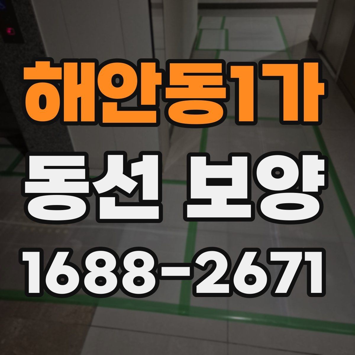 해안동1가 동선 보양 일정 잡을 때 참고할 내용