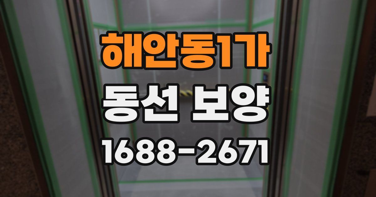 해안동1가 동선 보양