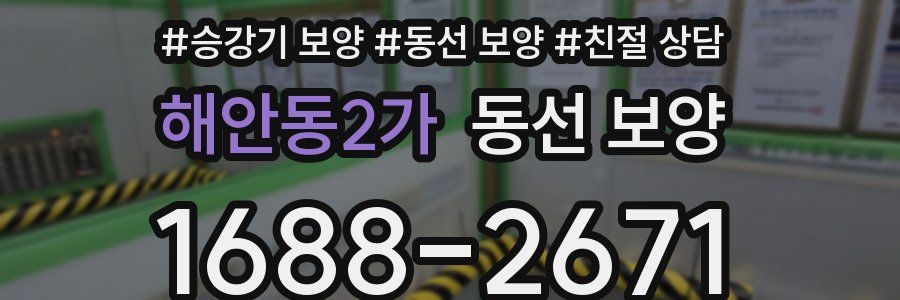 해안동2가 동선 보양