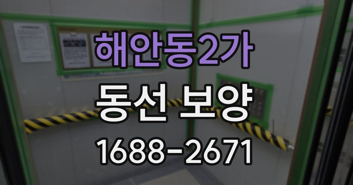 해안동2가 동선 보양