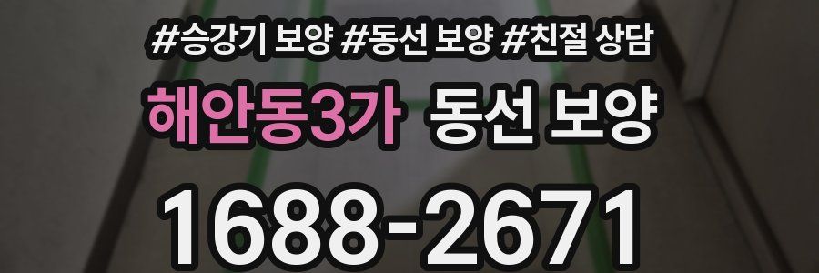 해안동3가 동선 보양