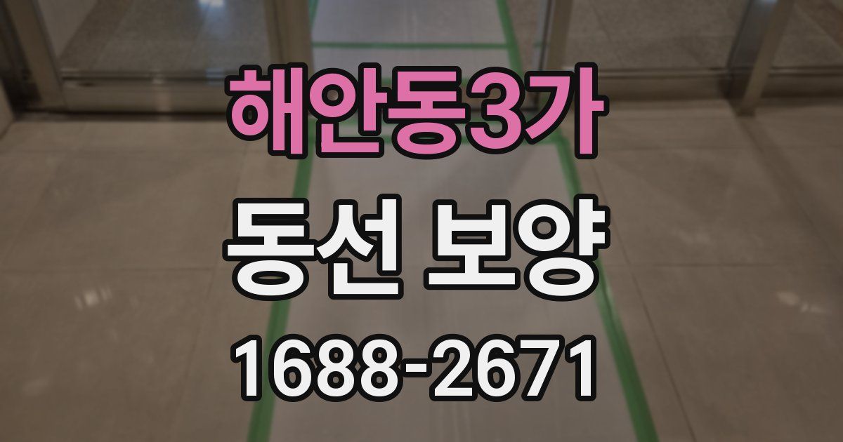 해안동3가 동선 보양