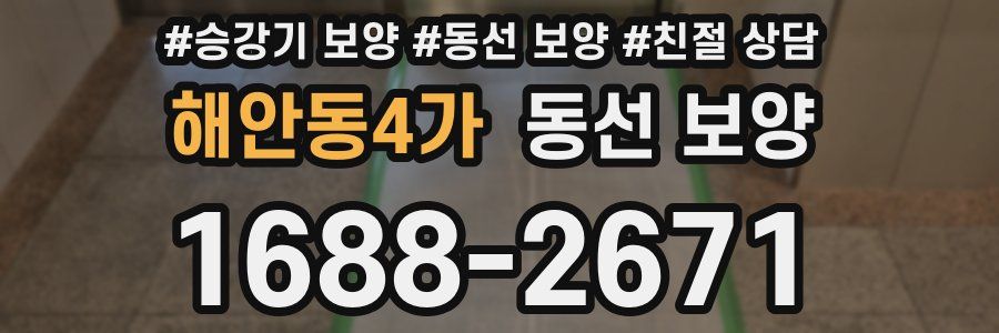 해안동4가 동선 보양