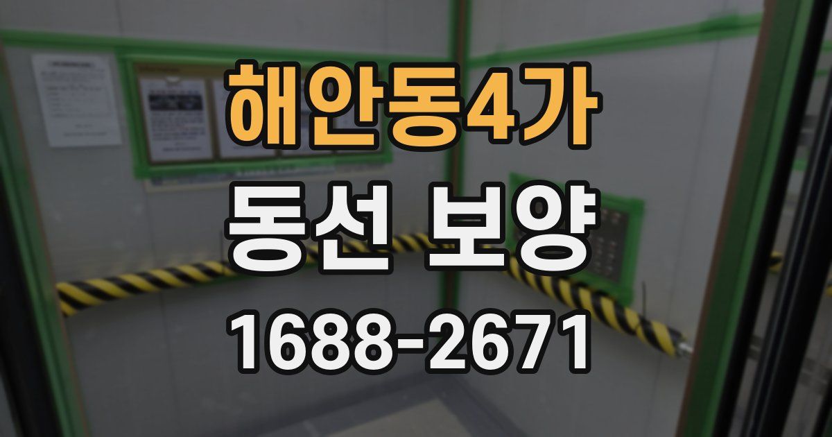 해안동4가 동선 보양