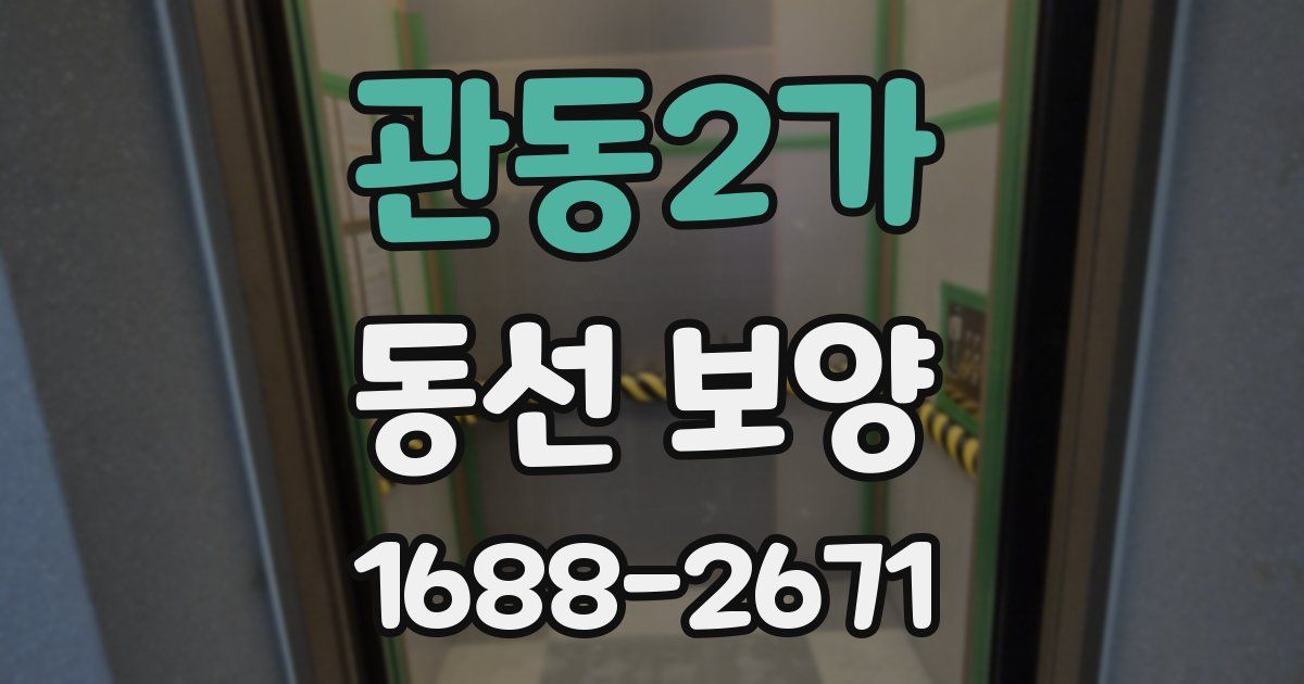 관동2가 동선 보양