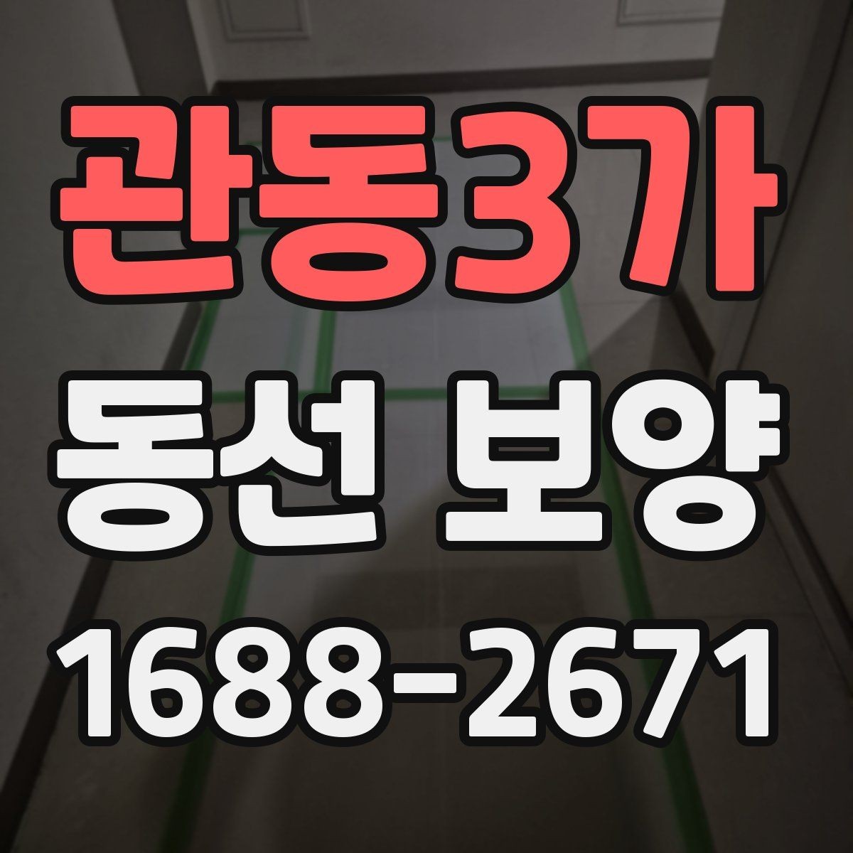 관동3가 동선 보양 시 필요한 안전 수칙과 보호 장비