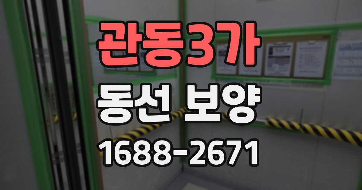 관동3가 동선 보양