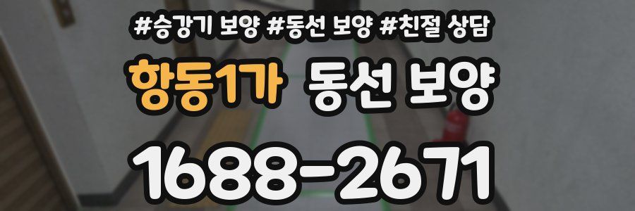 항동1가 동선 보양