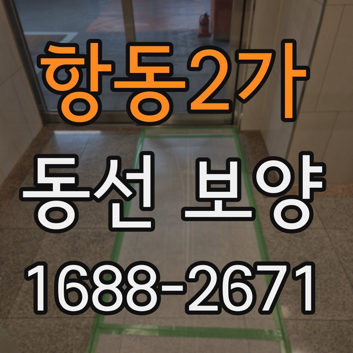 항동2가 동선 보양 과정별 역할과 확인 포인트