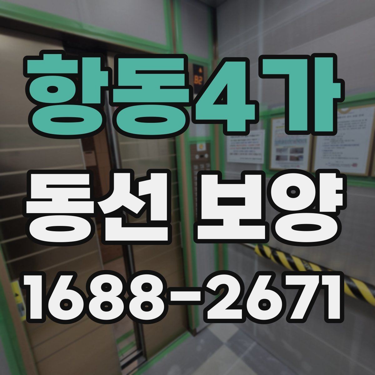 항동4가 동선 보양 현장에서 많이 묻는 질문 정리