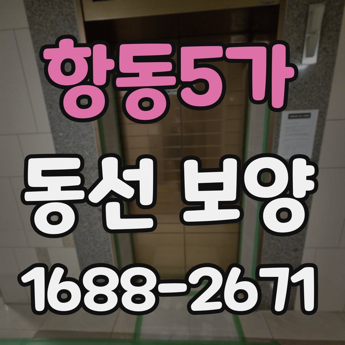 항동5가 동선 보양 일정 잡을 때 참고할 내용