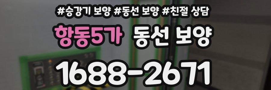 항동5가 동선 보양