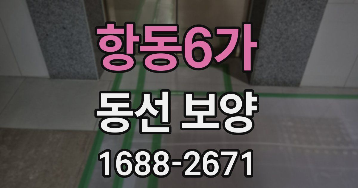 항동6가 동선 보양